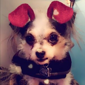 Meet your Posher, Lizbeth